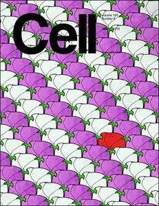Cell - 2 June 2016