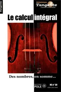 Gilles Cohen et collectif, "Le calcul intégral : Des nombres, en somme..."