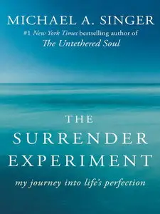 The Surrender Experiment: My Journey into Life's Perfection (Audiobook)