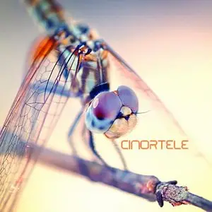 ( 2009 ) Cinortele - Hypnoise Continuing
