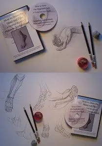 How to Draw the Hand and Foot [repost]