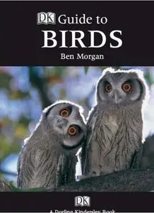 Discovery Channel Mega Beasts Terror Bird (2010)