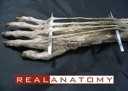 Real Anatomy Software DVD 1.0