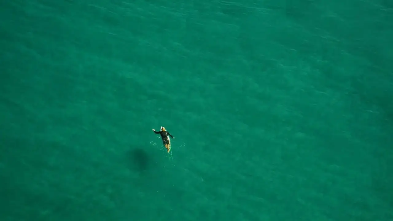 View from a Blue Moon (2015)