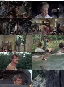 Hornets' Nest (1970)