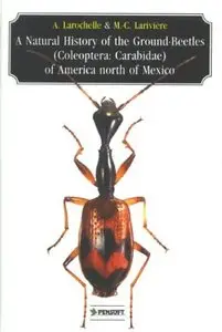 A Natural History of the Ground-Beetles