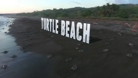 CBC - The Nature of Things: Turtle Beach (2019)