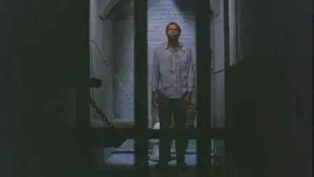The Education Of Sonny Carson (1974)