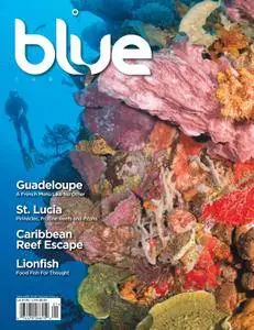 Blue Magazine - January 01, 2014