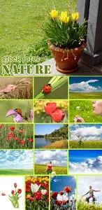 Nature mix