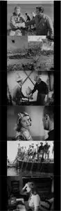 Stromboli (1950) [The Criterion Collection]