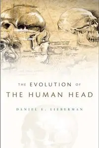 Evolution of the Human Head