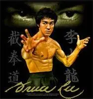 Bruce Lee's Martial Arts: 6 e-Book