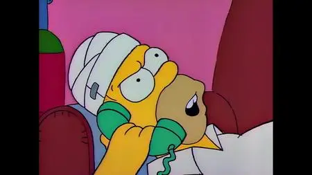 Die Simpsons S02E09