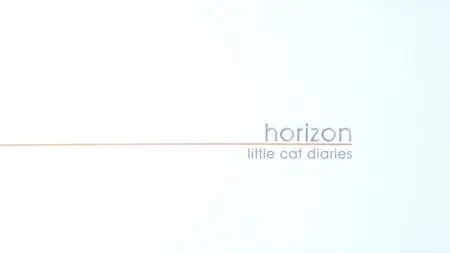 BBC Horizon - Little Cat Diaries (2013)