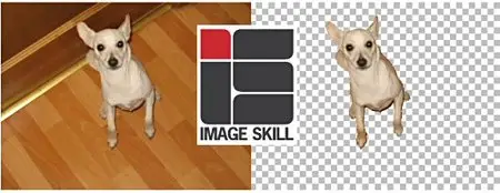 Image Skill Background Remover v3.0 - Plugin