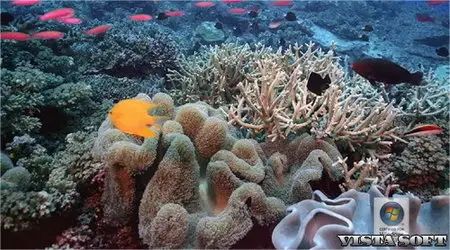 1 DreamScene Aqua World for Windows Vista