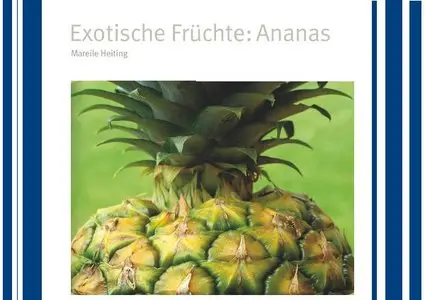 Exotische Früchte - Ananas - Mareile Heiting