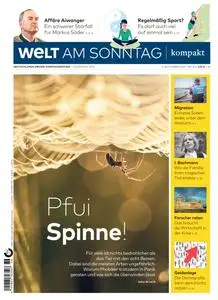 WELT am SONNTAG KOMPAKT - 3 September 2023