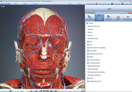 3D Head and Neck Anatomy with Special Senses and Basic Neuroanatomy [repost]