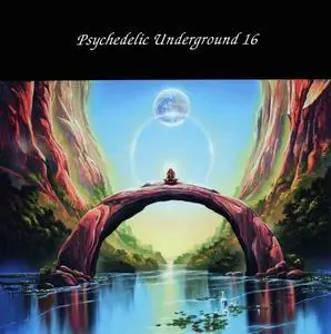 V.A. - Psychedelic Underground 11-17 (2005-2013)