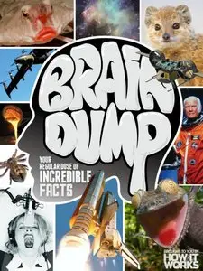 Brain Dump – Issue 30 2015