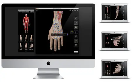Hand and Wrist Pro III with Animations v3.2.2 Mac OS X