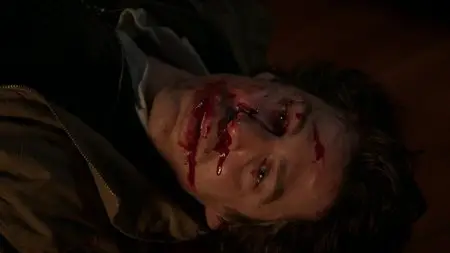 The Broken Shore (2013)