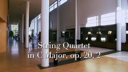 Joseph Haydn: String Quartets - The Lindsays (2004) DVD9