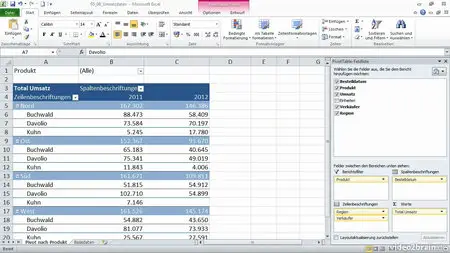 Excel 2010: Pivot-Tabellen – Grundlagen