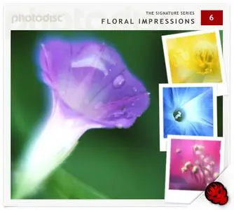 Photodisc Signature Series Vol. 6 - Floral Impressions