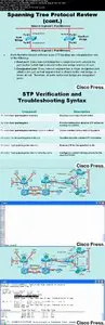 Network Troubleshooting Video Mentor