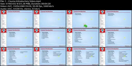 The Complete PL/SQL Bootcamp : "Beginner to Advanced PL/SQL"