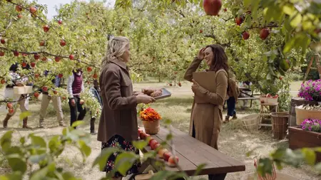 Autumn at Apple Hill (2024)