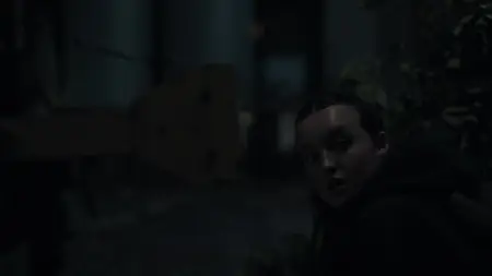 The Last of Us S02E05