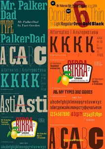 Fonts Family Palker Dadson Webfont & Desktop