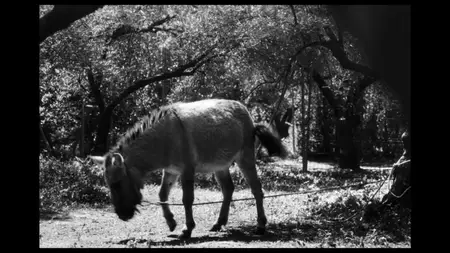 The Trail Left by Time / Los restos del pasar (2023)