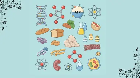 Biochemistry for Everyone: One Concept a Day