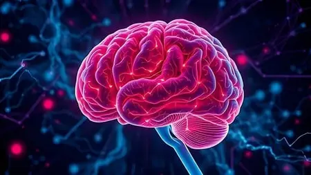 Neuropharmacology: Cns Disorders And Drug Mechanisms
