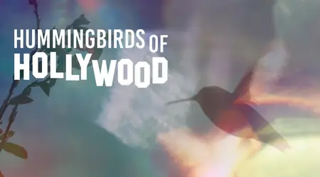 Hummingbirds of Hollywood (2025)