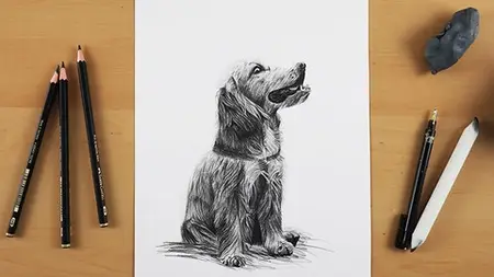 Drawing Made Clear: From Sketch To Realistic Animals