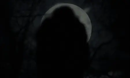 The VVitch: A New-England Folktale (2015)