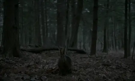 The VVitch: A New-England Folktale (2015)