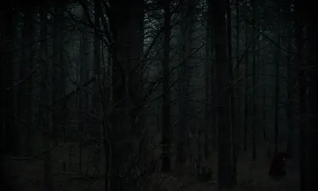 The VVitch: A New-England Folktale (2015)