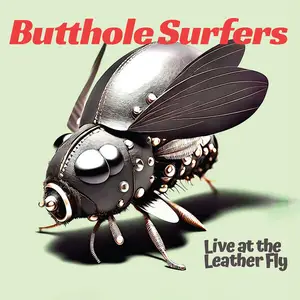 Butthole Surfers - Live at the Leather Fly (2025) (Hi-Res)