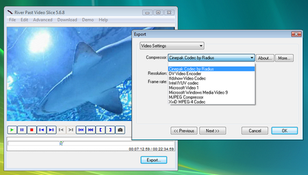 River Past Video Slice 5.6.8