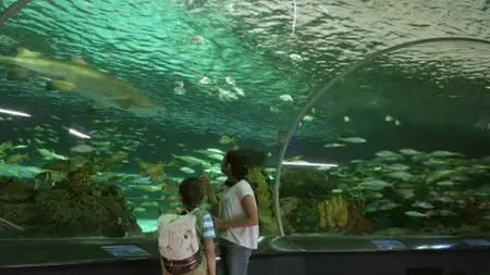 Dino Dana S01E09