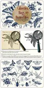 Vintage insects and butterflies 1608014