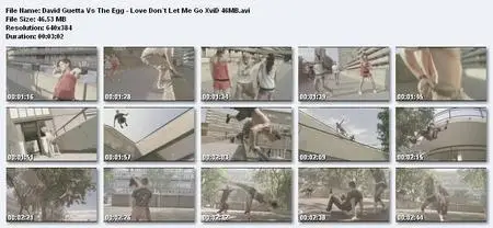 David Guetta Vs The Egg - Love Don`t Let Me Go 
