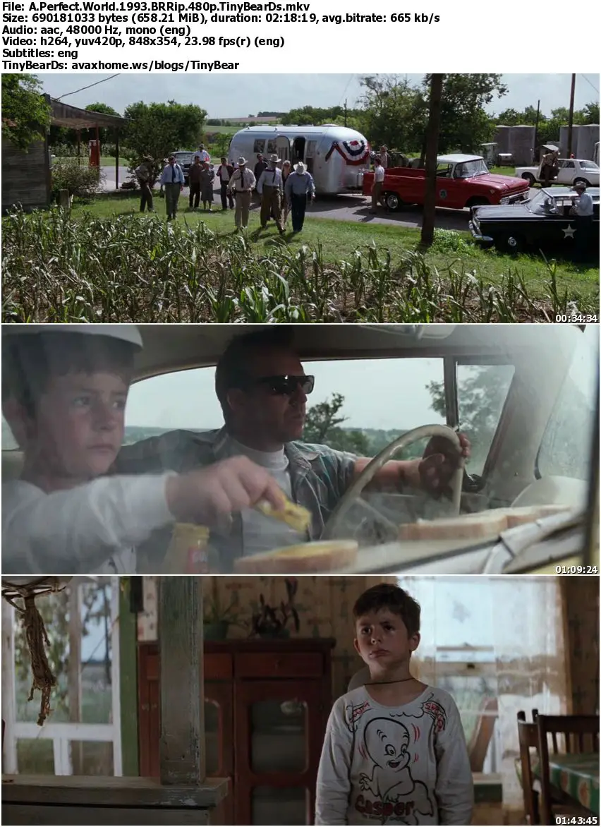 A Perfect World (1993)